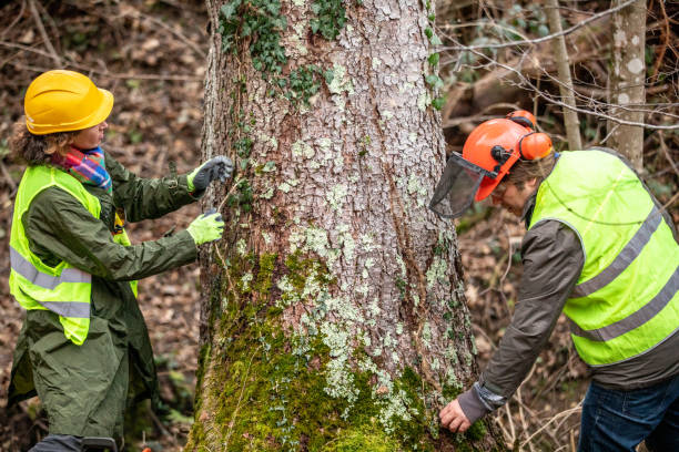 Best Tree Risk Assessment  in Galena, OH